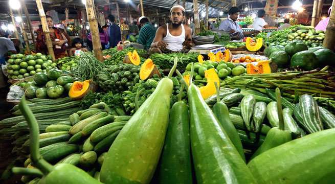 লক্ষীপুরে মৌসমী ফলের ব্যাপক সমাহার