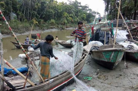 বিষ প্রয়োগে মেঘনা নদীর লক্ষ্মীপুর অংশে মাছ শিকার, নিধন হচ্ছে জলজ প্রাণীও