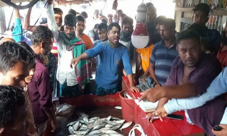 লক্ষ্মীপুরের মাছের ঘাটগুলো শেষ মুহূর্তে জমে উঠেছে