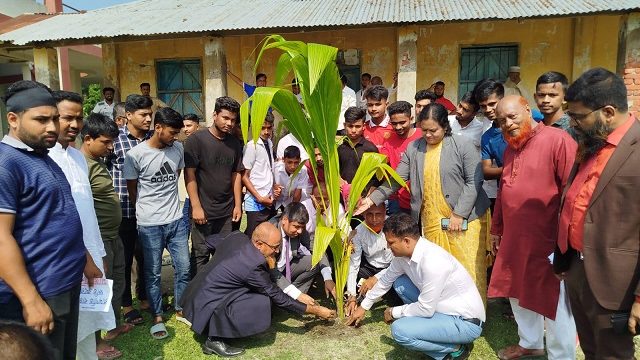 রামগতিতে ৪শ নারিকেল গাছ রোপণ করলো পূবালী ব্যাংক 