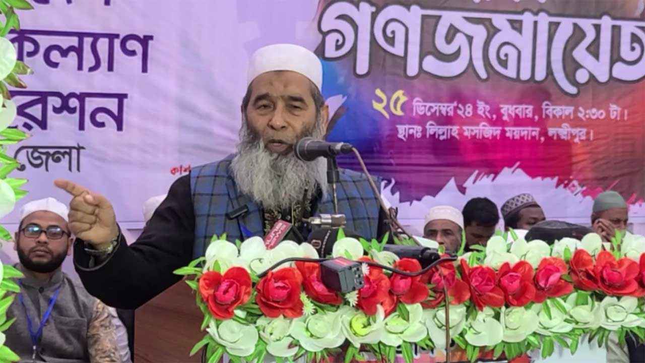 স্বৈরাচার বাংলাদেশের মাটিতে আসতে পারবে না’ : লক্ষ্মীপুরে অধ্যাপক মুজিবুর রহমান