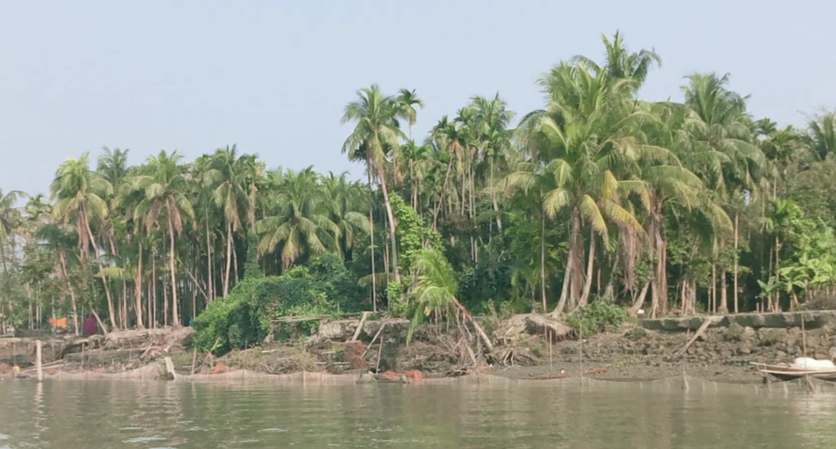 কমলনগরে গাছ পড়ে দিনমজুরের মৃত্যু