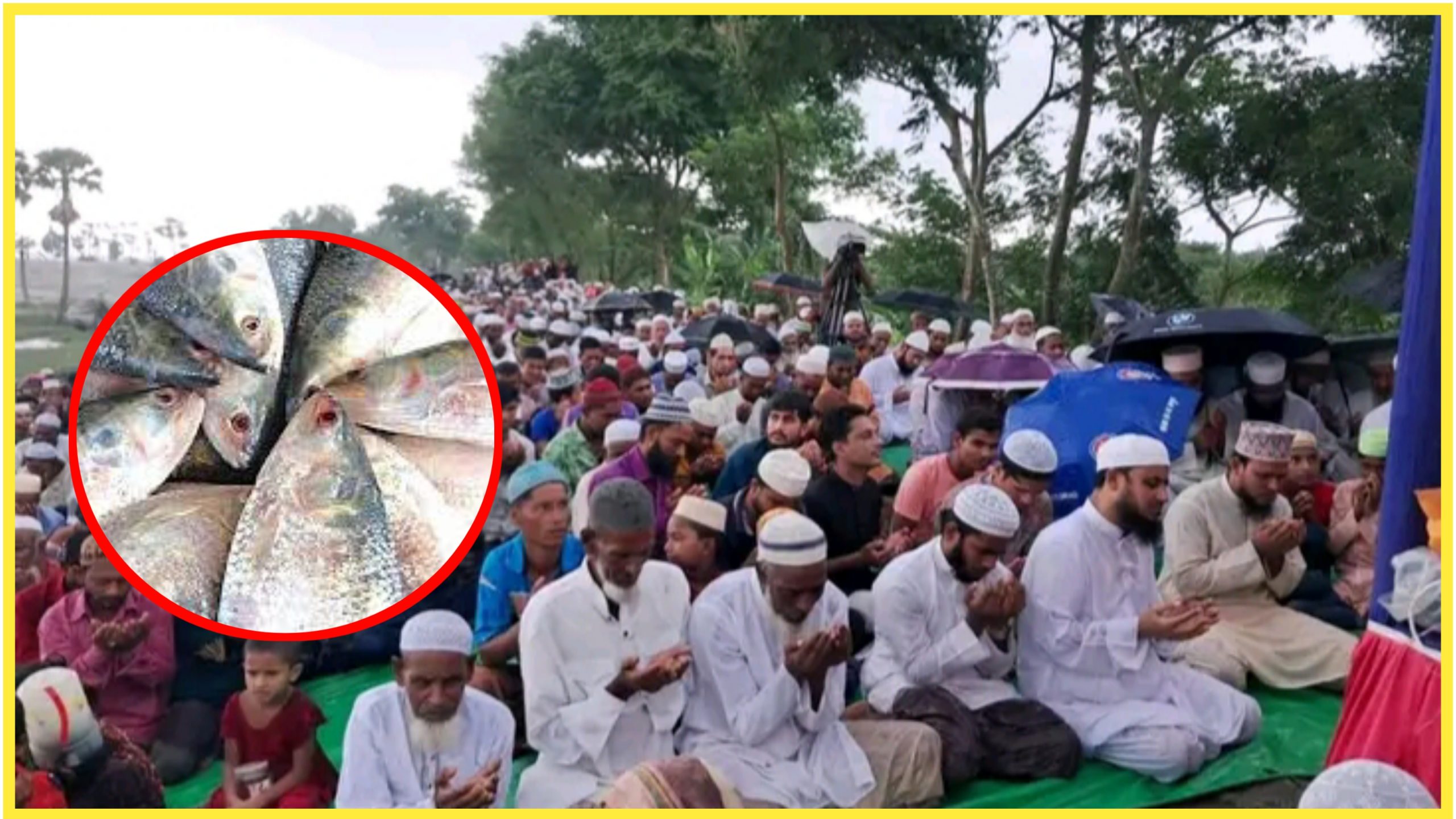 ভোলায় ৬০ জন আলেমের অংশগ্রহণে ইলিশের জন্য বিশেষ দোয়া