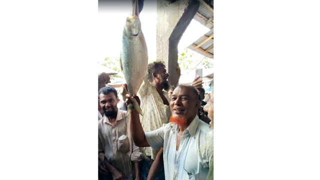 রামগতিতে ১০ হাজার টাকায় বিক্রি হলো একটি ইলিশ