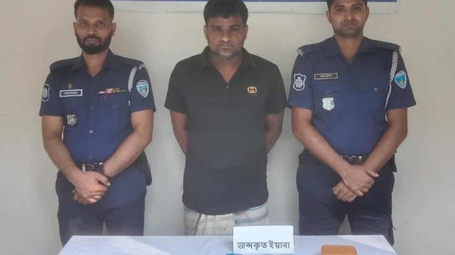 রায়পুরে ৫৬৭ পিস ইয়াবাসহ মাদক ব্যবসায়ী তুহিন আটক 