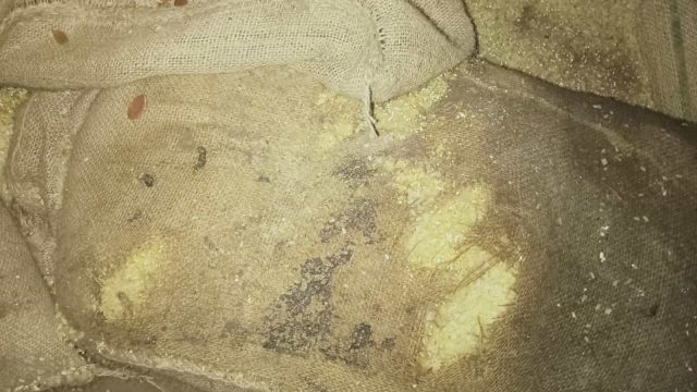 কমলনগরে জেলেদের দেড় মে.টন চালে পচন 