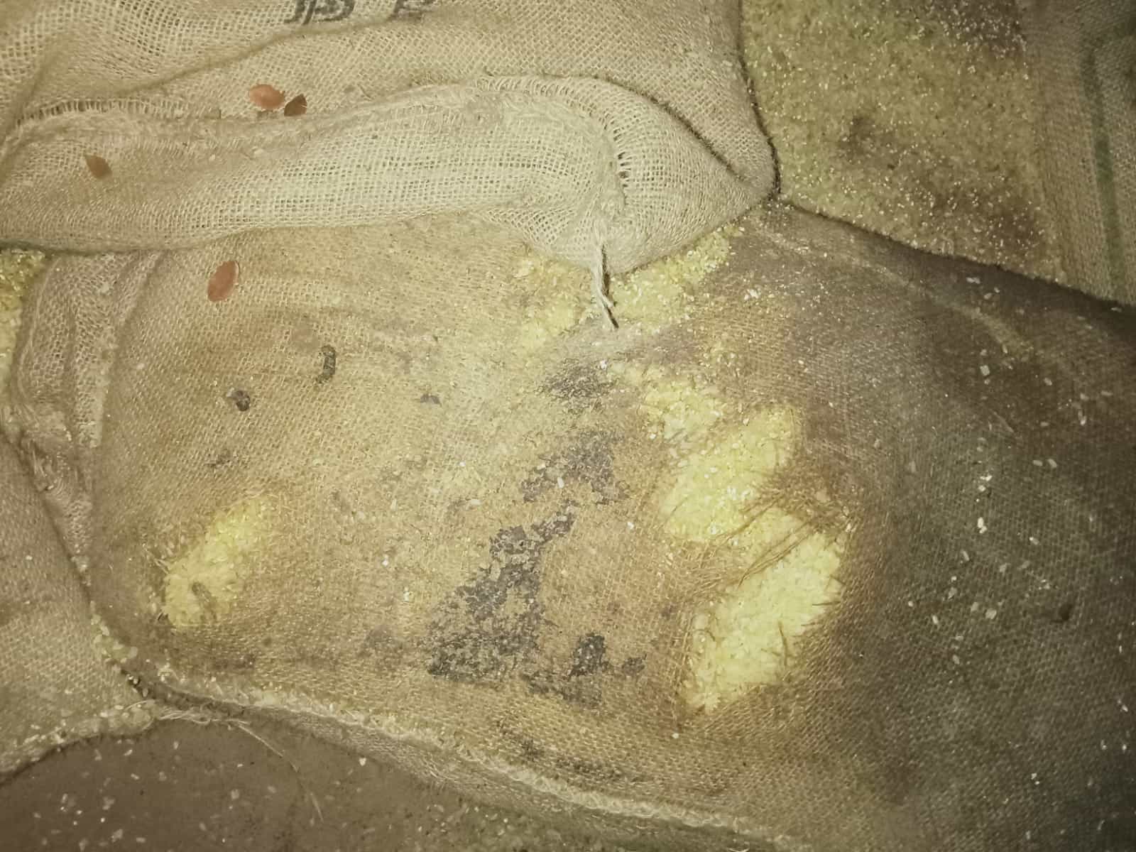 কমলনগরে জেলেদের দেড় মে.টন চালে পচন কমলনগরে জেলেদের দেড় মে.টন চালে পচন