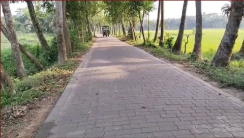 ইন্টারলকিং ব্লকের সড়কে বদলে যাচ্ছে লক্ষ্মীপুরের গ্রামীণ সড়ক