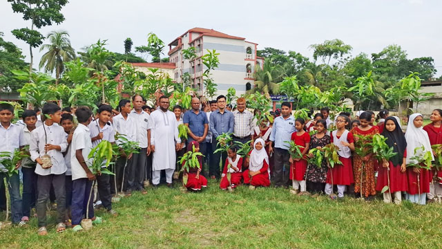 সবুজ আগামী গড়ার প্রত্যয়ে কোডেকের বৃক্ষ বিতরণ