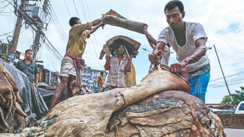 ঈদে কেন চামড়ার দাম কমে যায়