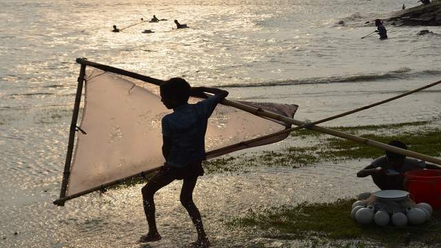 চিংড়ি পোনা আহরণে লক্ষ্মীপুরে ৬ হাজার কোটি টাকার জলজ জীববৈচিত্র্যের ক্ষতি
