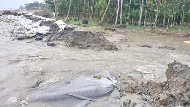 মেঘনা তীর রক্ষা বাঁধ ভেঙে লোকালয়ে ঢুকছে জোয়ারের পানি 