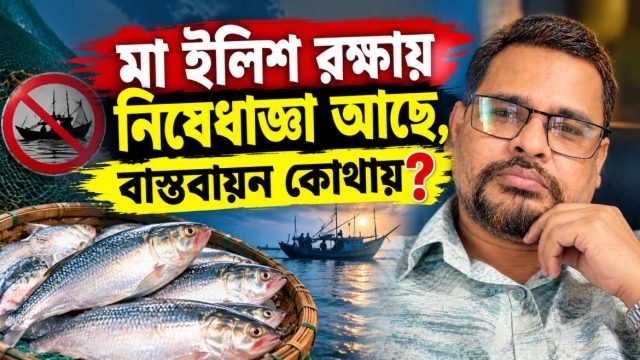 মা ইলিশ রক্ষায় নিষেধাজ্ঞা আছে, বাস্তবায়ন কোথায়? 