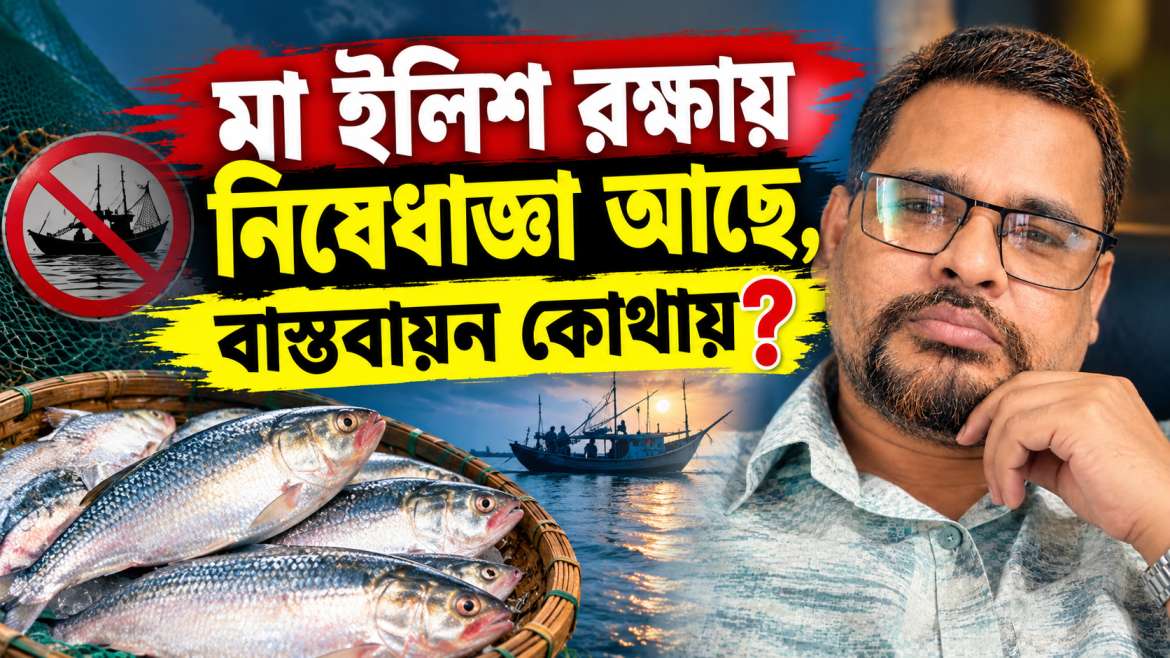 মা ইলিশ রক্ষায় নিষেধাজ্ঞা আছে, বাস্তবায়ন কোথায়?